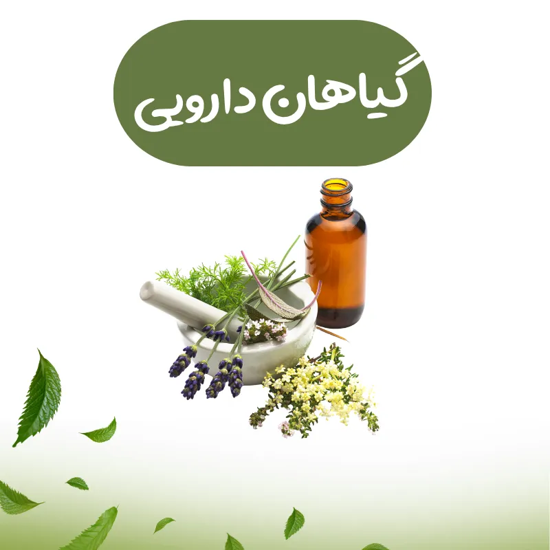 دسته گیاهان دارویی