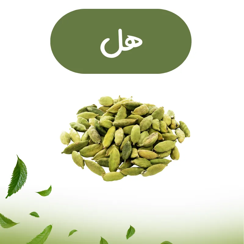 دسته هل