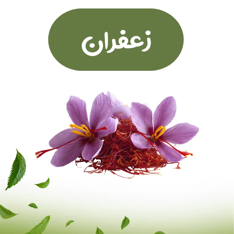 دسته زعفران